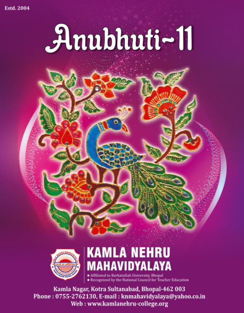 Anubhuti Edition 11 cover